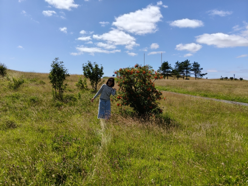 秋蝉的第一张照片--辽宁父母相亲团